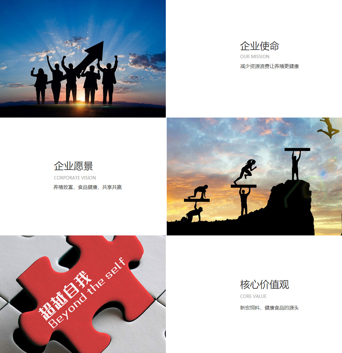 彩虹多多app下载彩票手机版(图1)